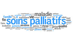 Soins palliatifs (hospice, hôpital)