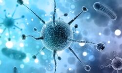 3d-medical-background-with-abstract-virus-cells