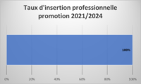Taux d\'insertion