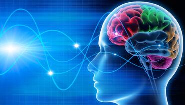 Comprehensive+EEG+Referral+Service+Queensland+QLD+