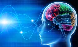 Comprehensive+EEG+Referral+Service+Queensland+QLD+